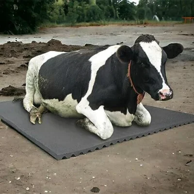 xl-cow-mat-feeding-mat-bpa-free-easy-clean-dishwasher-safe-ursus-original-imahcvxyg99cfckc
